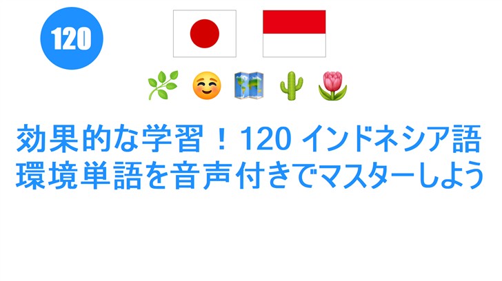 効果的な学習！120 インドネシア語環境単語を音声付きでマスターしよう